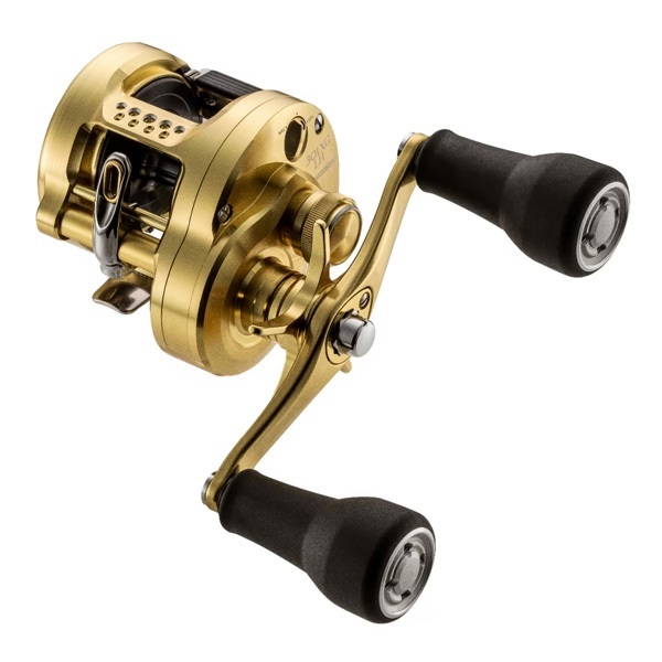 23カルカッタコンクエストMD